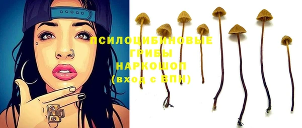 ешки Краснотурьинск