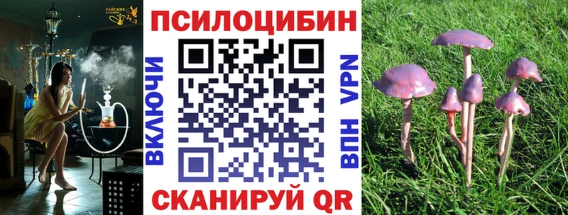 Псилоцибиновые грибы мухоморы  Купить  Магадан 